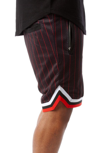 Game Day Pinstripe Shorts