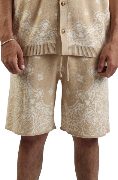 Front View Paisley Knit Shorts