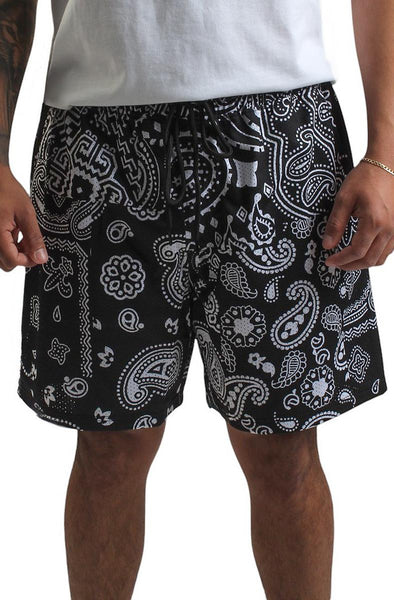 Front View Paisley V2 Mesh Short