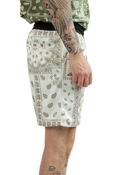 Paisley Mesh Shorts