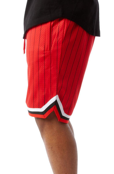 Game Day Pinstripe Shorts