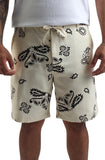 Front View  Paisley Shorts