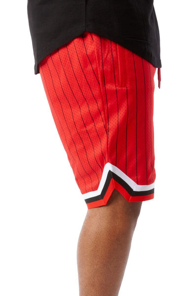 Game Day Pinstripe Shorts