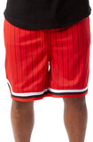 Front View Game Day Pinstripe Shorts
