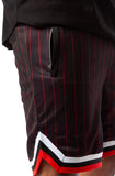 Game Day Pinstripe Shorts